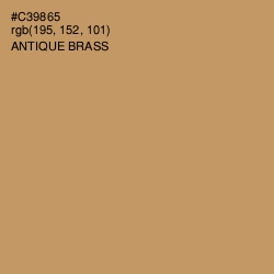 #C39865 - Antique Brass Color Image
